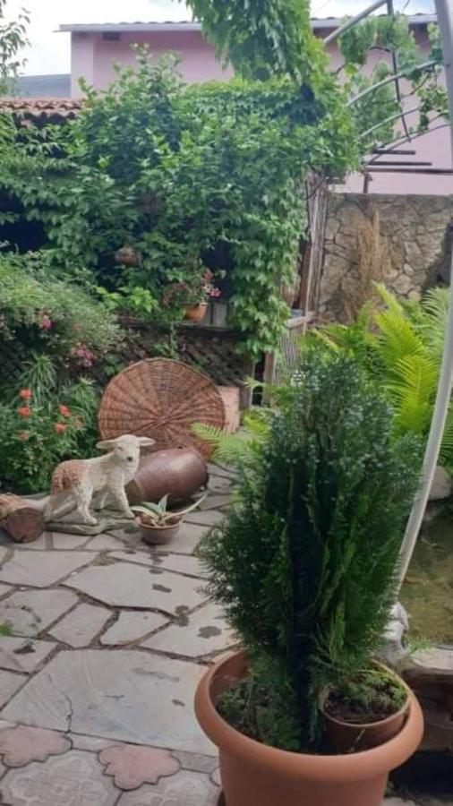 Tamar Guest House Gori Dış mekan fotoğraf