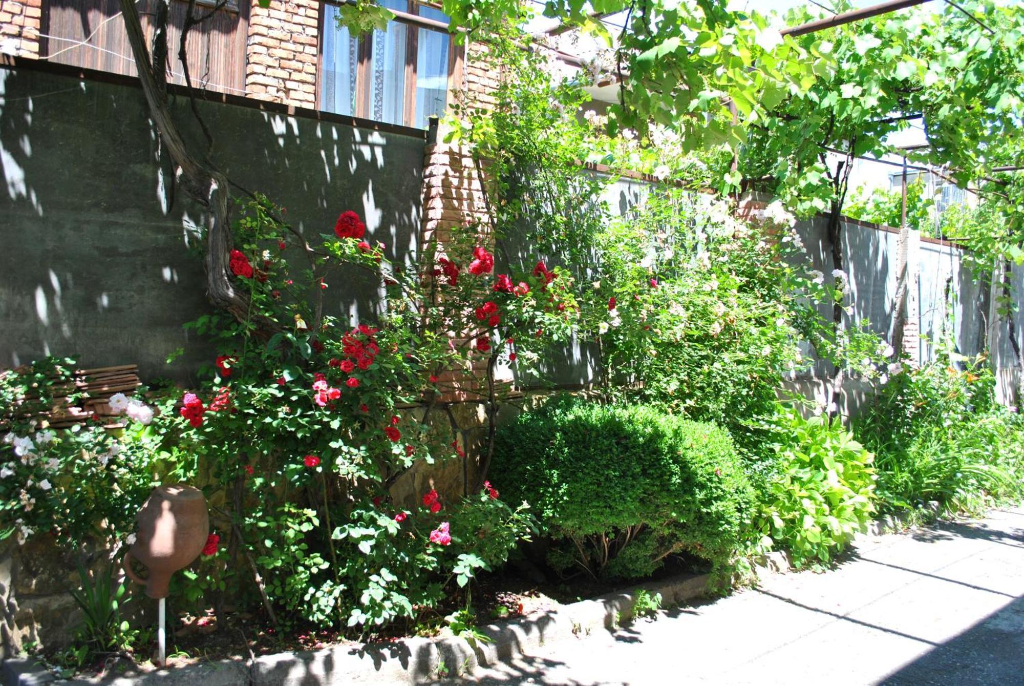Tamar Guest House Gori Oda fotoğraf